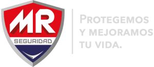 Mr Seguridad